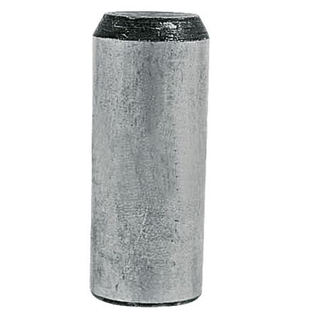  Sworzeń łożyska | 067031